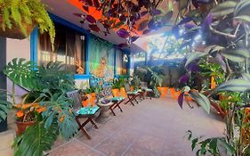 Nirvana Apartament Hostal